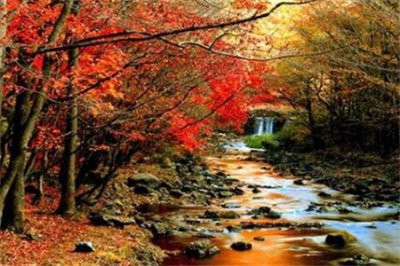 ​十月份必去的旅游景点 四大景点开满秋天的枫叶