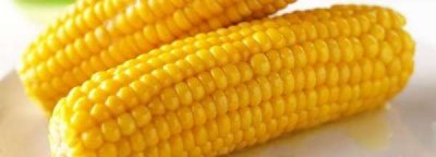 ​玉米是高纤维食物,玉米含有膳食纤维吗