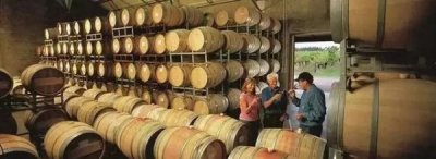 ​猎人谷干红葡萄酒_猎人谷出产什么品种优质葡萄酒